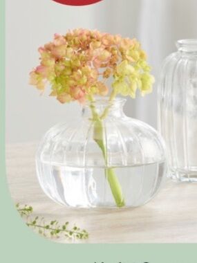 Clear Glass Ribbed Round Bud Vase World Market Flower Vase NWT